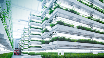 verticalfarm